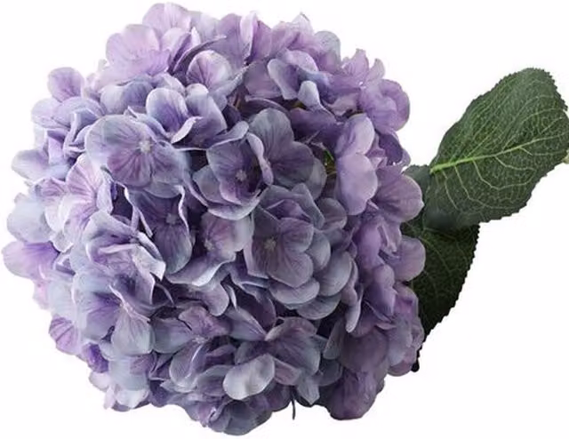 Kingsbury Gifts Giant Head Hydrangea Single Stem in Purple