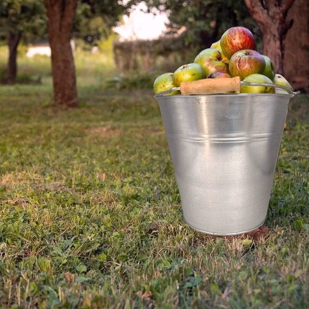 Kelvenix Galvanised Steel Metal Bucket in Silver, 12L – 2