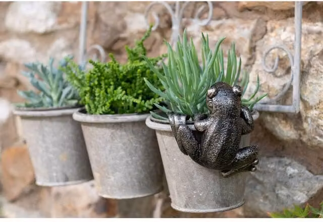 Jardinopia Frog Hanging Plant Pot in Bronze, W: 11 cm, D: 10.5 cm, H: 5 cm – 1
