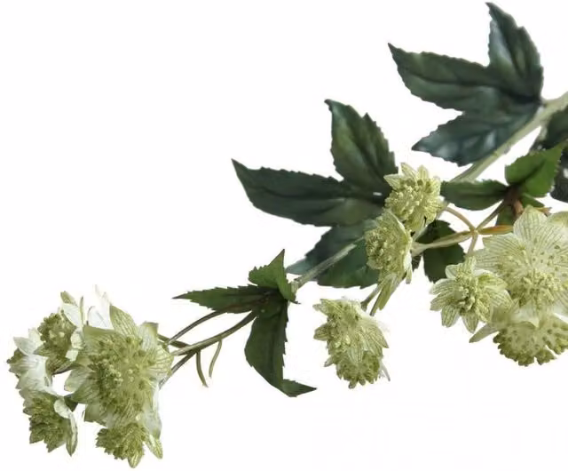 KDMD Green Astrantia Artificial Flowers, 2 Pack