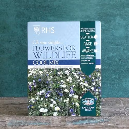 Mr Fothergill's RHS Cool Mix Wildflower Seeds, 12 Varieties in Blue, White and Multicolour – 2