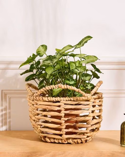 Dibor Vintage Water Hyacinth Open Weave Scalloped Planter Basket in Beige, Dia: 18 cm, H: 25 cm