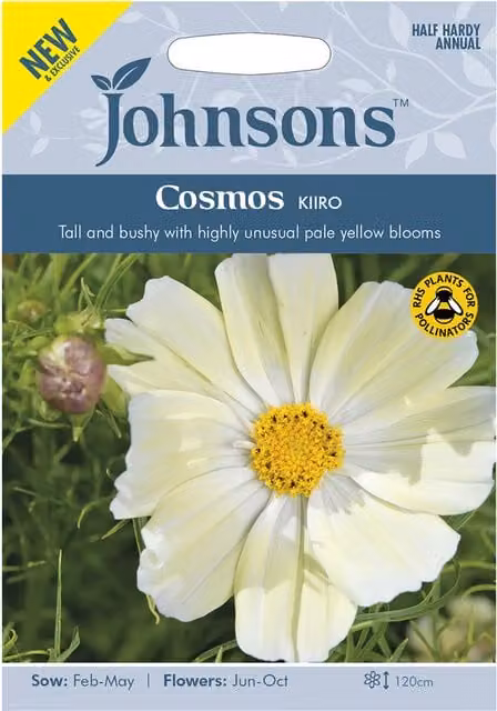 Johnsons Cosmos Kiiro Yellow and White Ornamental Flower Seeds