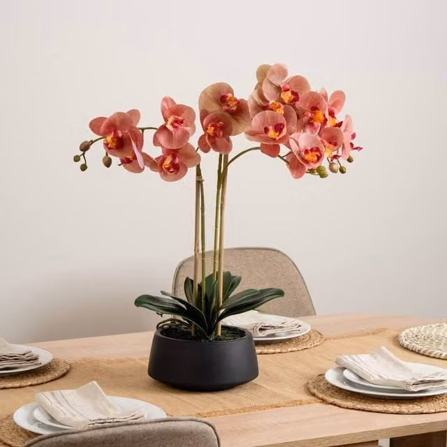 Scottish Everlastings Ltd Real Touch Phalaenopsis Orchid in Pink with Black Pot, Height: 65 cm
