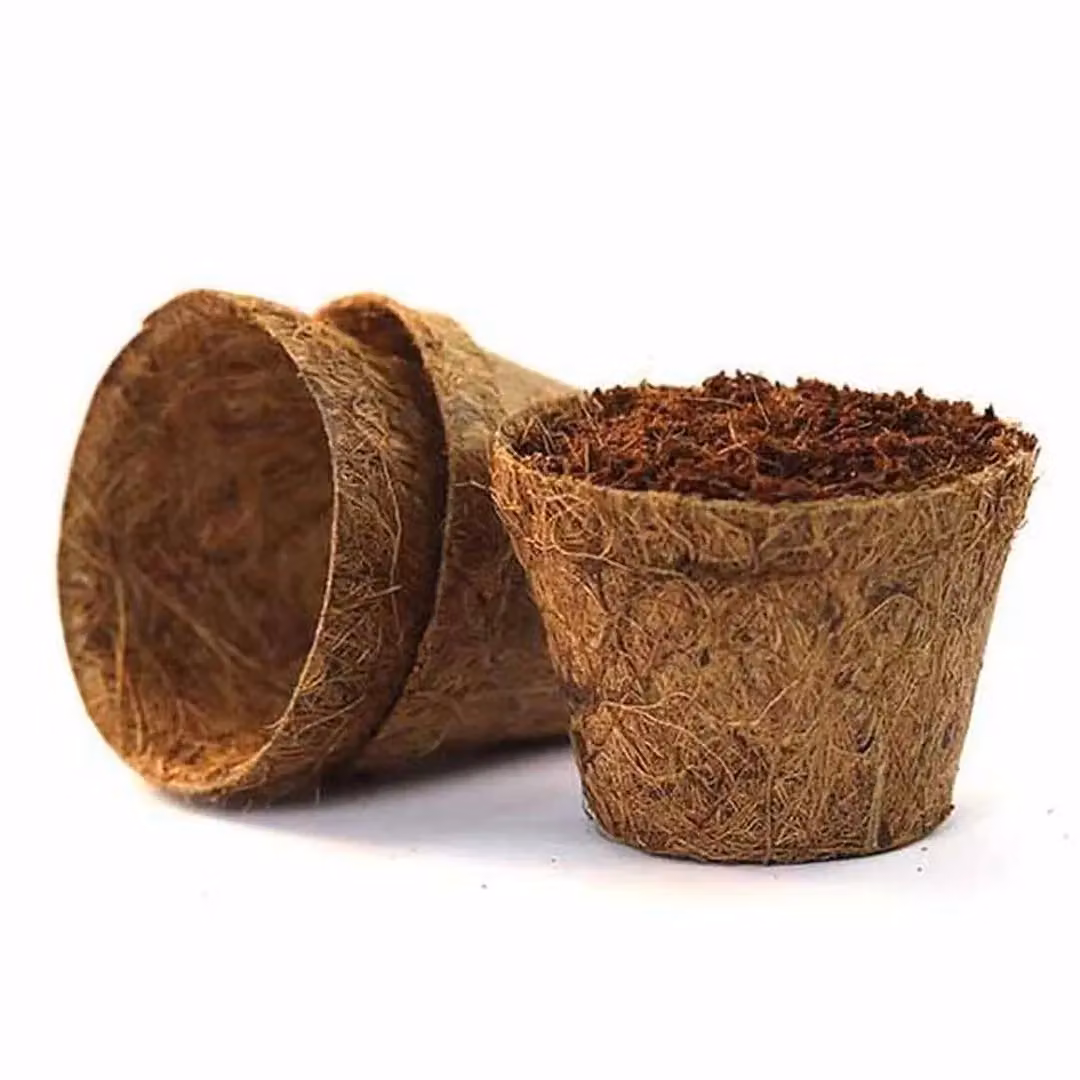 Coir Products Brown Coir Planter Pots, Pack of 10, Height: 8 cm – 2