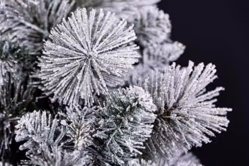 SHATCHI 6ft Frosted Snowy Boulder Helsinki Fir Artificial Christmas Tree in Green, H: 180 cm, W: 120 cm, D: 100 cm – 9