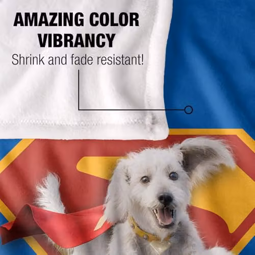 Warner Bros. Superman 2025 Krypto Shield Super Soft Fleece Throw Blanket, Multicolour, W: 91.44 cm x D: 147 cm – 3