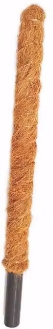 Coir Products Brown Plant Support Stakes, W/D/H: 5 x 5 x 60 cm