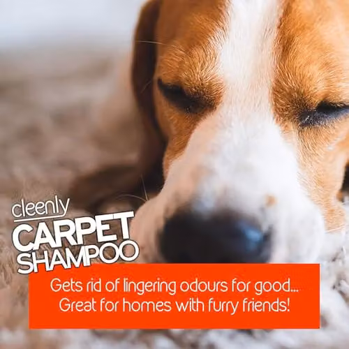 Cleenly Pet Carpet Cleaning Shampoo Odour Remover, Orange, 4 x 5L – 2