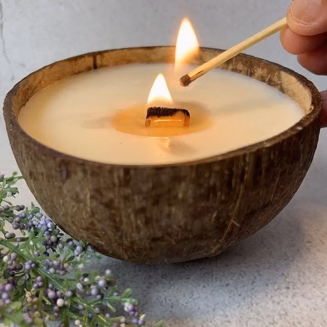 VIE White Coconut Scented Organic Soy Wax Candle in a Rustic Coconut Shell