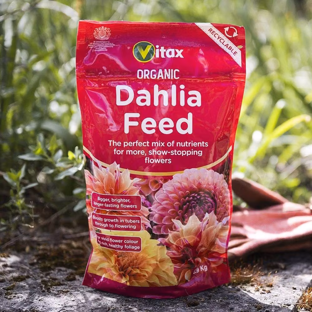 Vitax Organic Dahlia Plant Feed for Vibrant Pink Flowers, 900g – 2