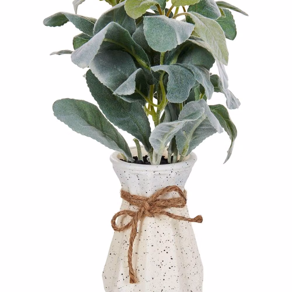 Wyld and Coco Green Lambs Ear Faux Potted Plant, Height: 30 cm – 2