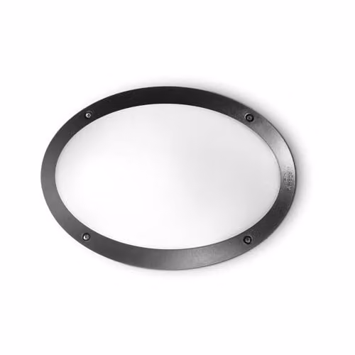 Netlighting Maddi 1 Black Outdoor Flush Ceiling and Wall Light with IP66 Rating and E27 Socket – 1