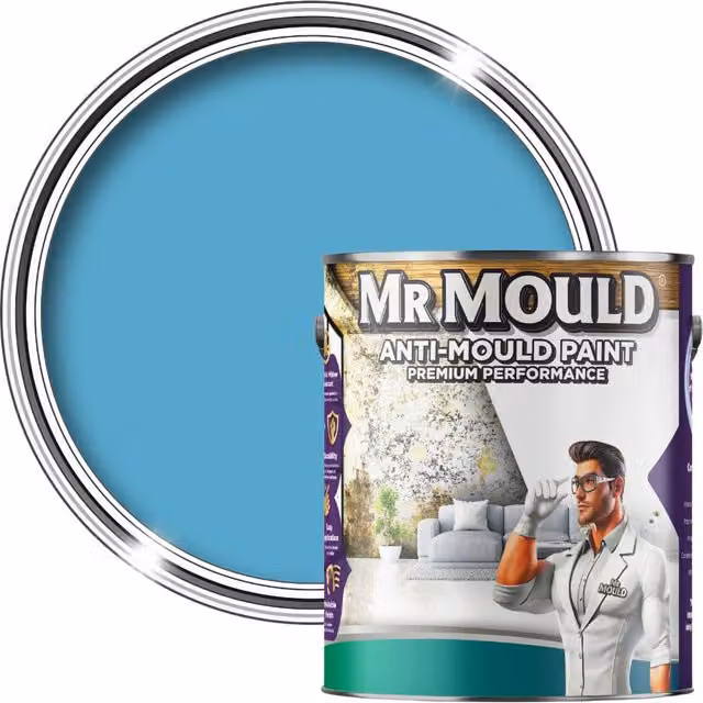 MR MOULD Anti-Mould Paint for Interior Walls and Ceilings, Pale Blue, 5L – 1