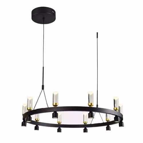 Netlighting Modern LED Ring Pendant Light in Black and Gold with Warm White 3000K 2920lm