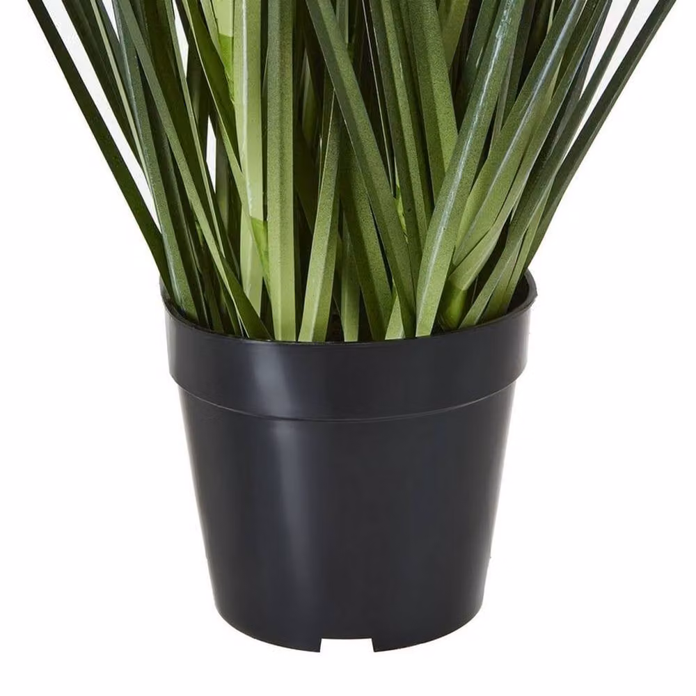 Lemon Pavilion Furniture and Decor Large Blue Agapanthus Lily Potted Plant in Plastic, Height: 120 cm – 3