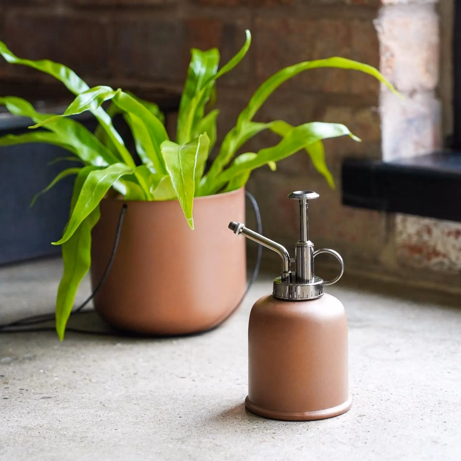Royal Botanic Gardens Kew Matt Copper Metal Plant Mister, Height: 14 cm – 3