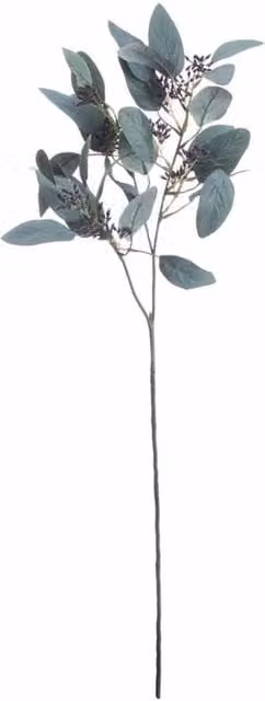 Lemon Pavilion Seeded Eucalyptus Stem Artificial Plant in Green, W28 x D1 x H85 cm