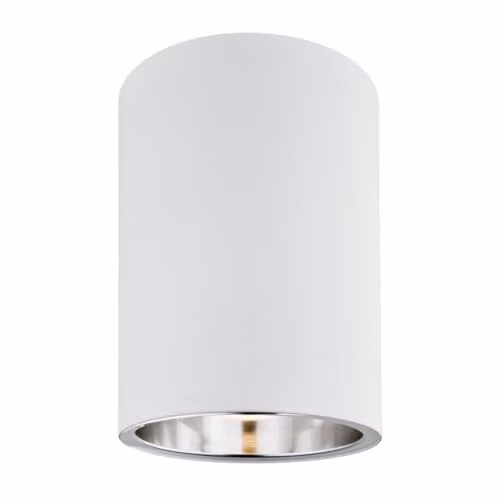Argon Modern White Metal Ceiling Light with Replaceable LED Bulb