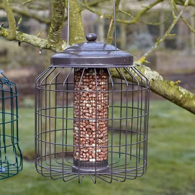 Gardman Heavy Duty Squirrel-Proof Peanut Feeder in Brown Metal