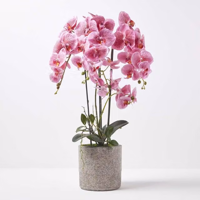 Homescapes Extra Large Pink Artificial Orchid in a Grey Concrete Pot, Height: 82 cm