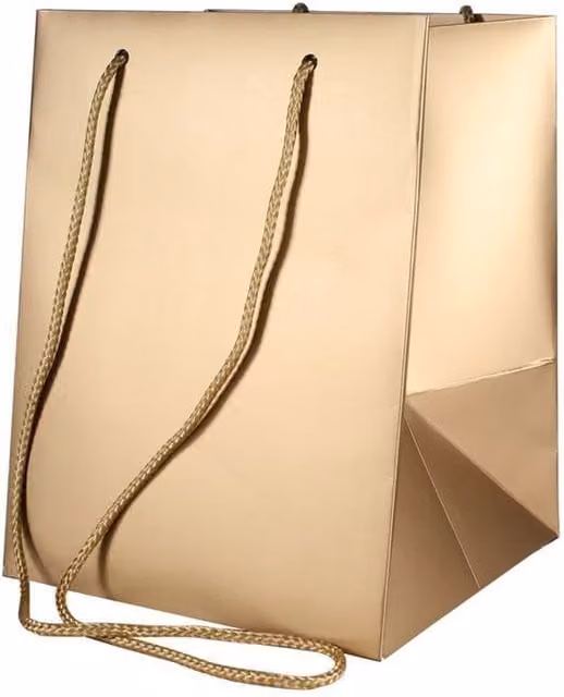 Kingsbury Gifts Gold Paper Hand Tie Gift Bag, Height: 25 cm