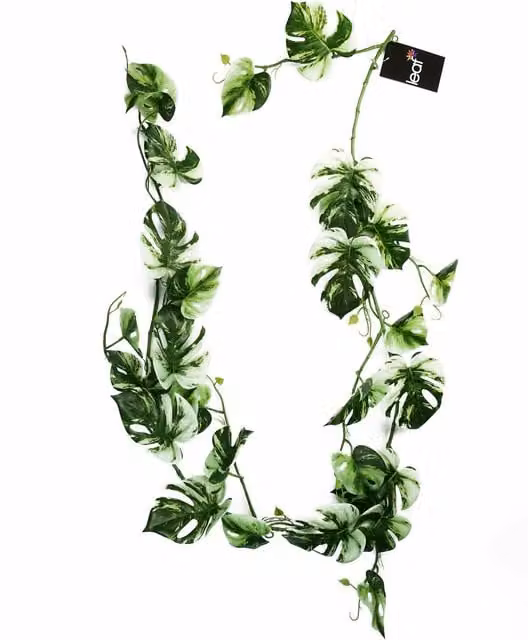 Realistic Variegated Monstera Artificial Trailing Hanging Plant in Green