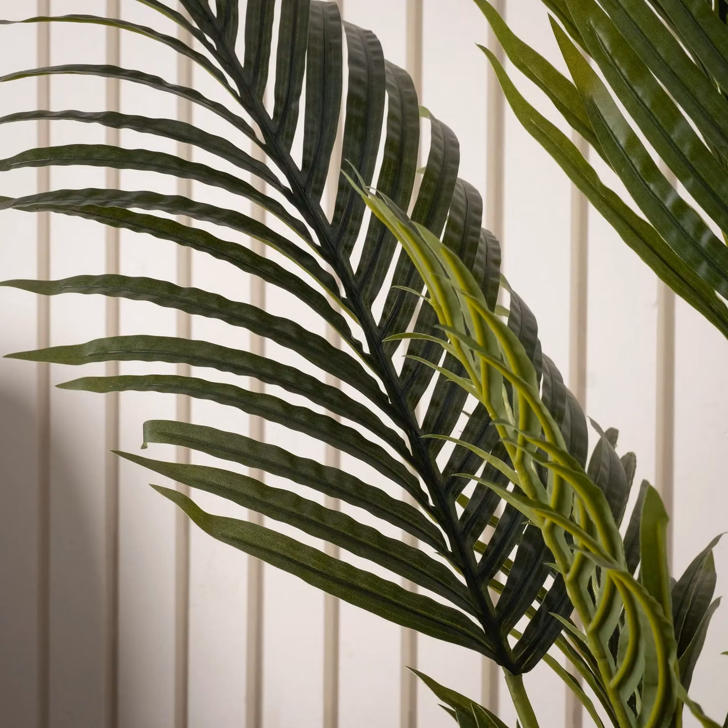 Scottish Everlastings Ltd 120 cm Green Kwai Palm Tree – 3
