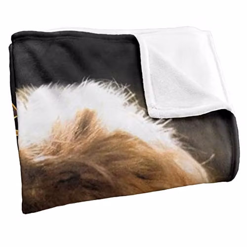 LOGOVISION Jim Henson Labyrinth Jareth Crystal Ball Super Soft Fleece Throw Blanket, Multicolour, W: 91 cm, D: 147 cm – 2