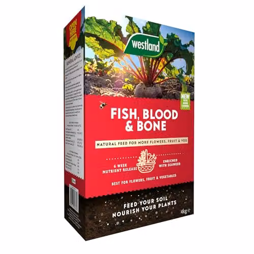Westland Organic Fish, Blood and Bone Slow Release Plant Tonic for Vegetable, Lawn and Ornamental Gardens, 4 kg – 2