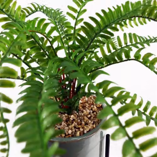 Leaf Design UK Artificial Fern in Green with Ceramic Planter Stand, Height: 40 cm – 4