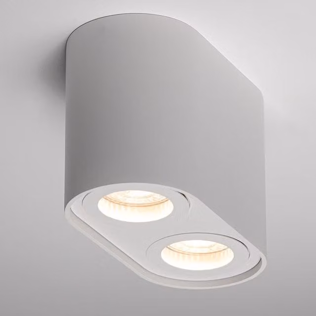 CGC Sansa Twin Round Cylinder Ceiling Down Spotlight in White
