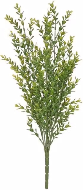 KDMD Everlast Lonicera UV Exterior Green Plastic Plant