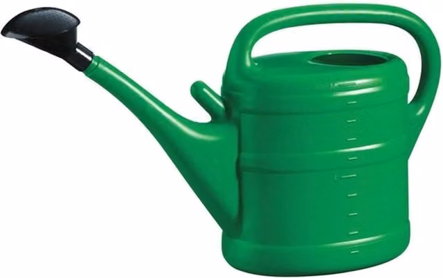 Green Wash 10L Manual Watering Can with Rose in Green