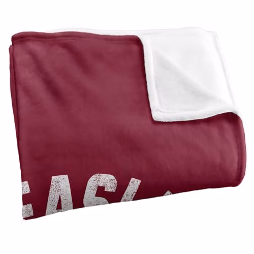 LOGOVISION Harry Potter Weasley Jersey Silky Touch Super Soft Fleece Throw Blanket, Multicolour, W: 91.44 cm x L: 147 cm – 2