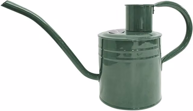 Kent & Stowe Green Metal Indoor Watering Can with Long Spout