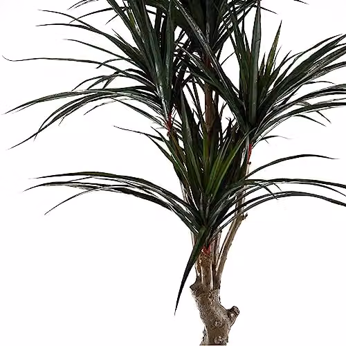Leaf Design UK Green Artificial UV Resistant Yucca Tree, H 120 cm x W 60 cm x D 60 cm – 2