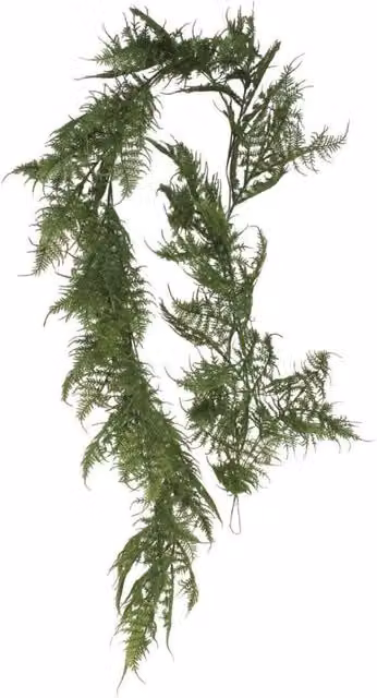 KDMD Artificial Asparagus Leaf Garland in Green, 180cm