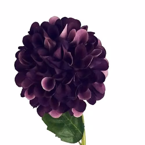 Leaf Pack of 6 Purple Artificial Dahlia PomPom Flower Stems, Height: 75 cm – 3