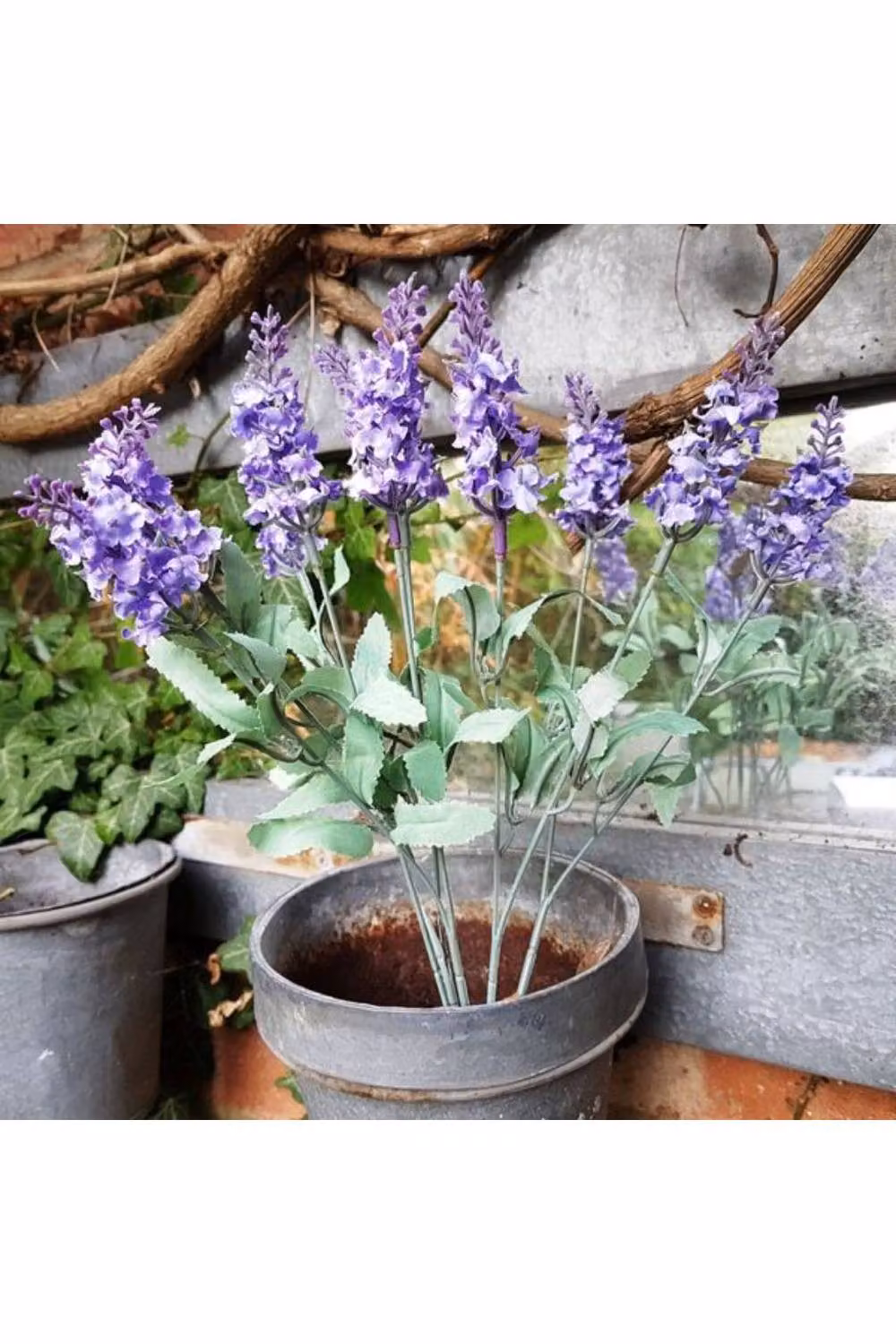 KDMD 3 Pack Lilac Flowering Lavender Bunch in Purple – 2