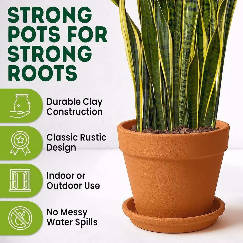 Green Thumbz Pack of 6 Brown Terracotta Clay Plant Pots with Saucer, 10 cm – 3