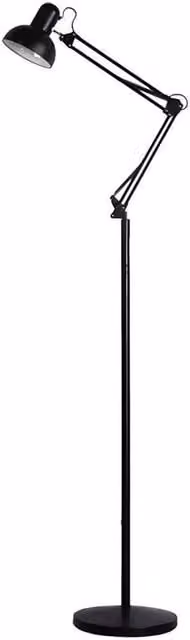 PAWNORA LED Floor Lamp with Adjustable Flexible Swing Arms in Black – 1