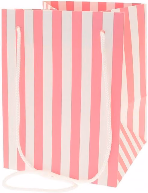 Kingsbury Gifts Pink Candy Stripe Paper Gift Bags