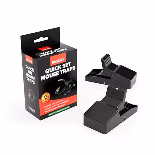 Rentokil FQ26 Quick Set Mouse Trap, Set of 2, Black and Multicolour – 1
