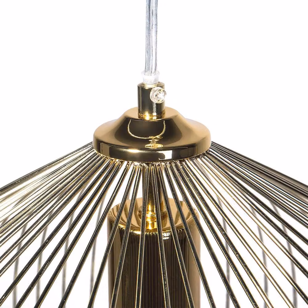 Wyld and Coco Gold Industrial Metal Cage 1-Light Pendant Light – 2
