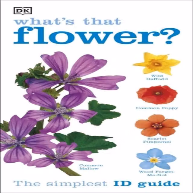 DK What's That Flower? The Simplest ID Guide Ever Multicolour Paperback Book