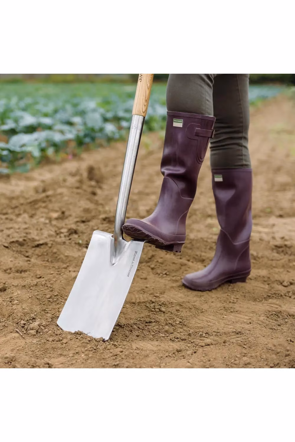 Kent & Stowe Stainless Steel Digging Spade with Ash Wood Handle in Beige and Silver – 3