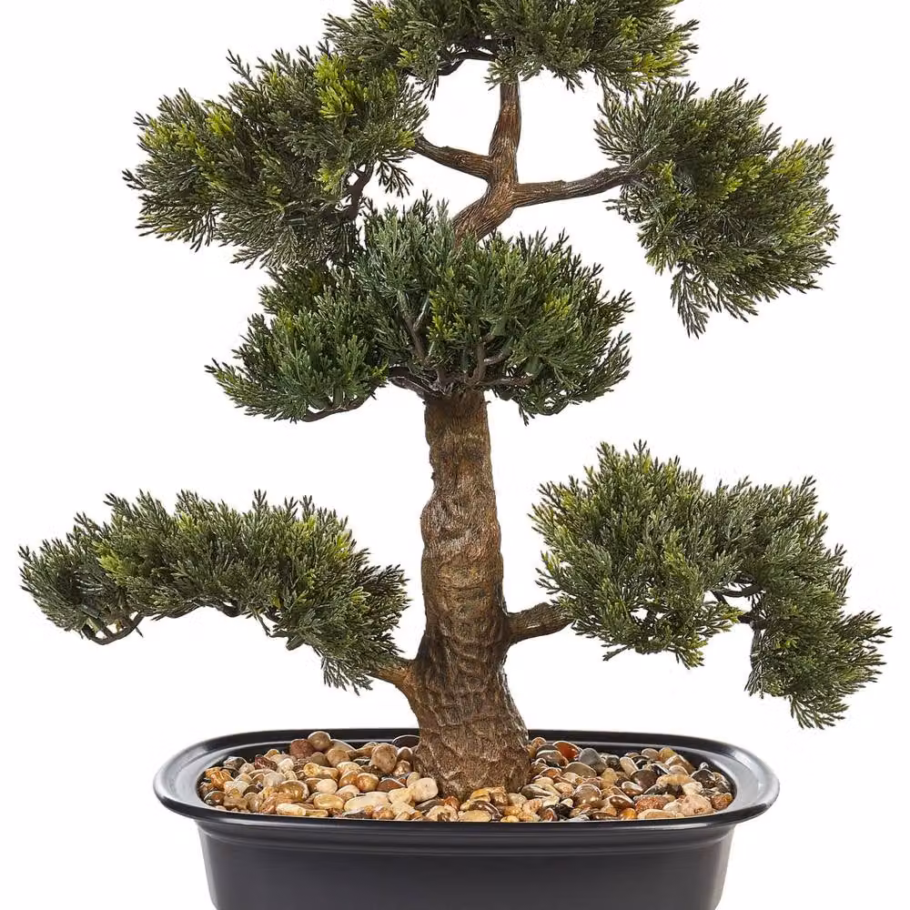 Wyld and Coco Realistic Artificial Bonsai Tree in Green and Black Concrete Pot, Height: 44 cm – 2
