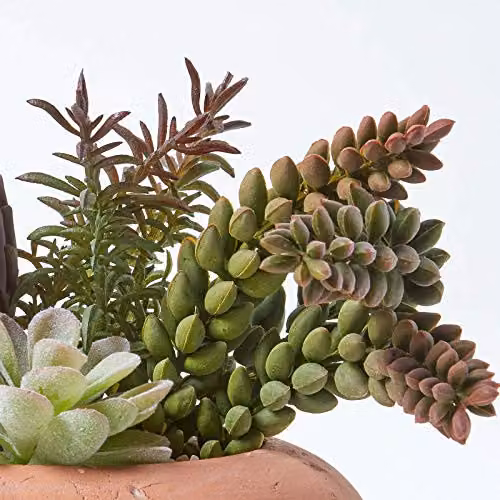 Homescapes Artificial Succulent Arrangement in a Round Ceramic Pot, Green and Brown, H 15 cm x W 15 cm x D 15 cm – 3