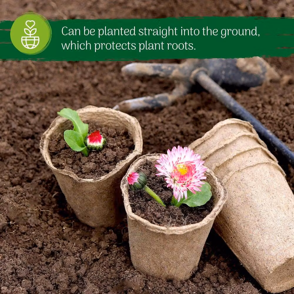 Green Thumbz 100 Pack Biodegradable Seedling Pots for Herbs and Flowers, Brown, 8cm – 6